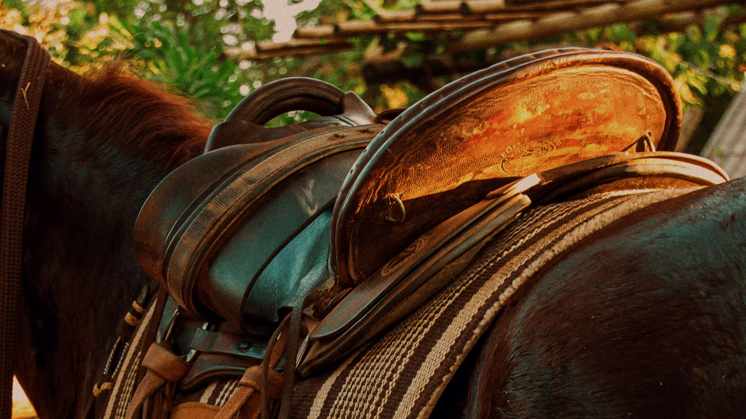 Imagen de Cría y Selección Genética