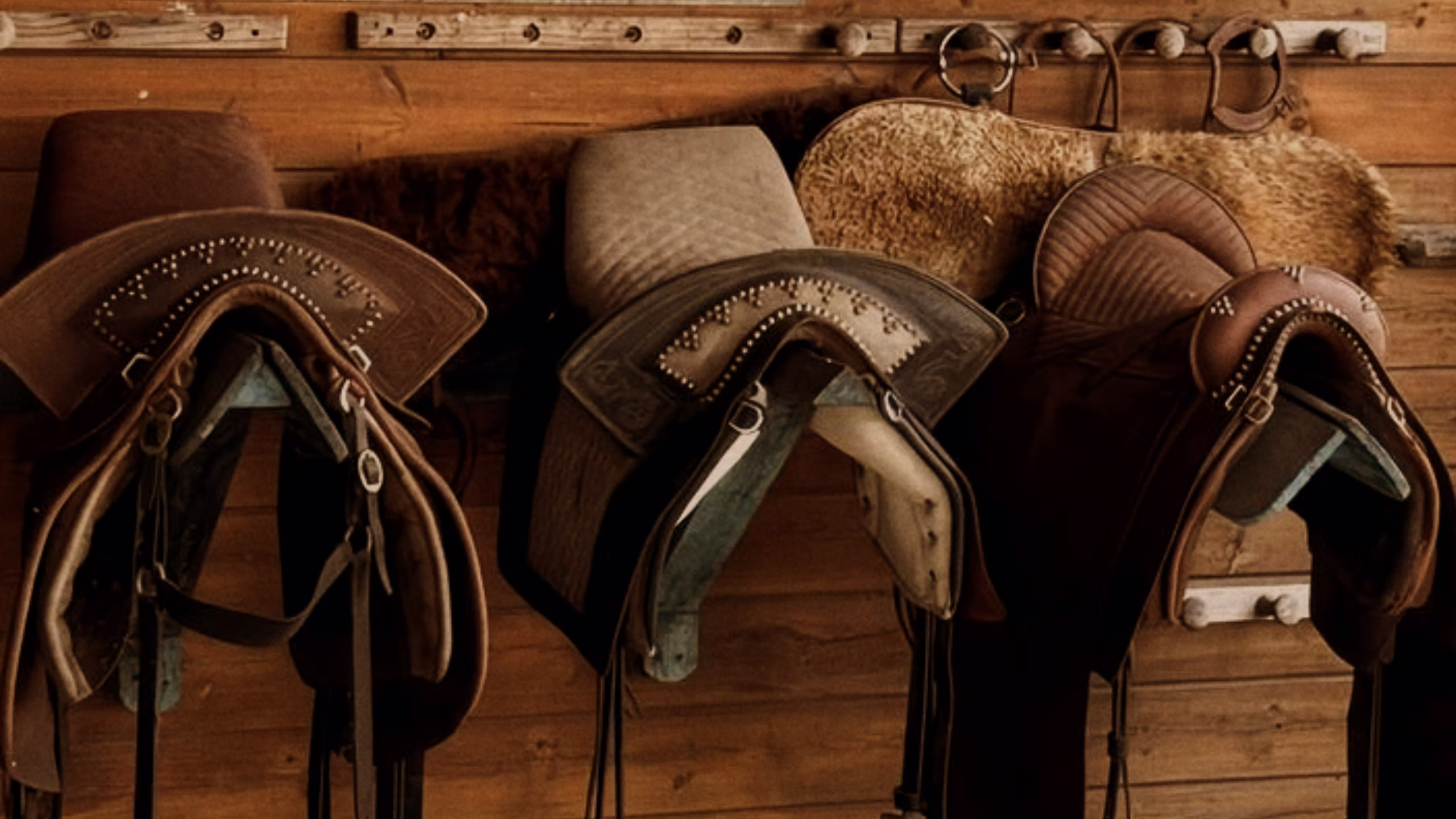 Imagen de Manejo, Cuidado y Bienestar Integral