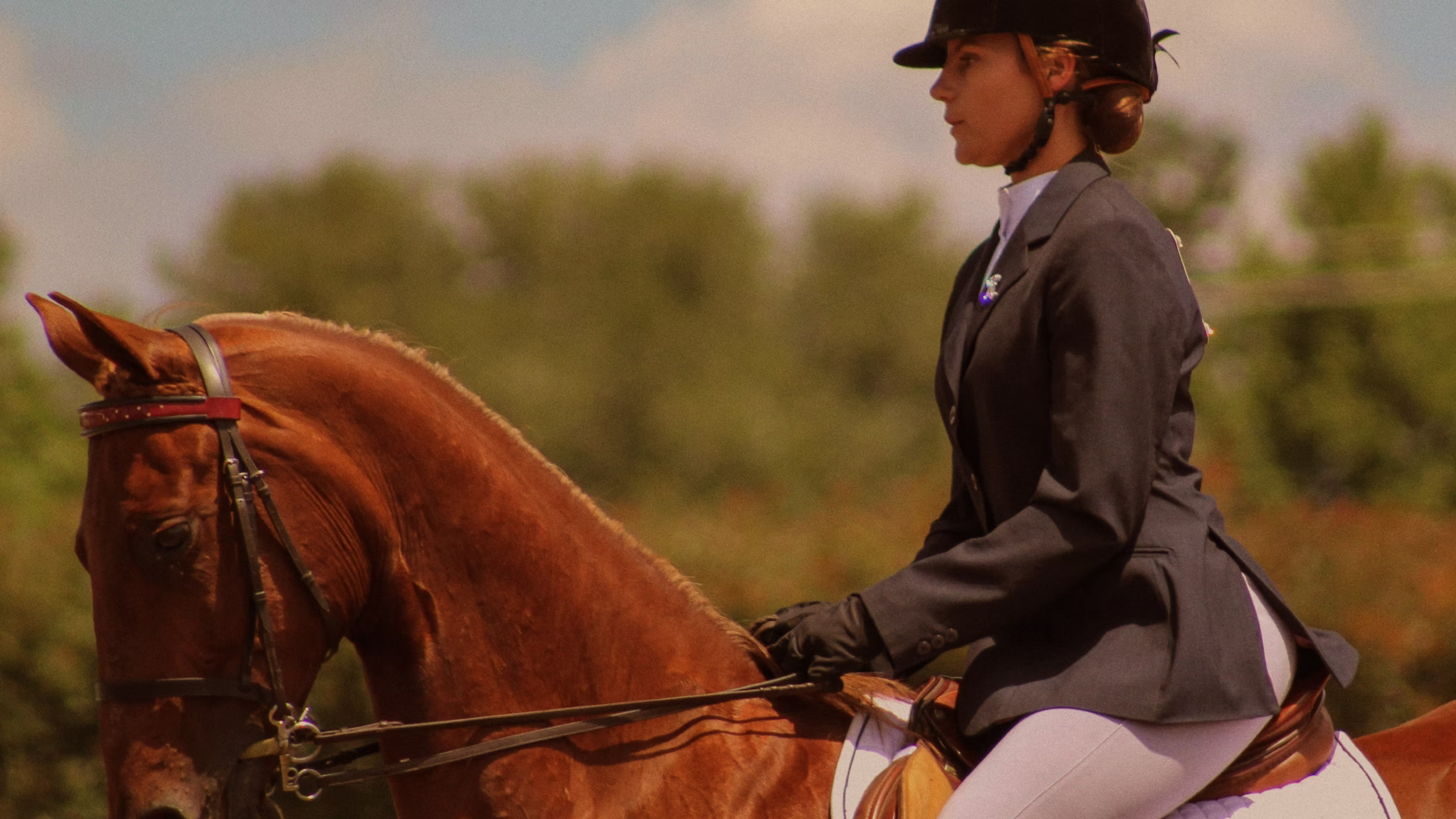 Imagen de Preparación y Presentación en Competencias